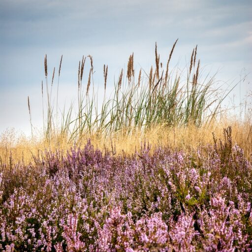 g9e89b6e367efa57ebbd50a374a5f81653ef902f54ca25154005519b57bf77f1ed830af77f9459b6fe82bba38611556116a194482eb8c7e42c84356080d308f7b 1280 5472973